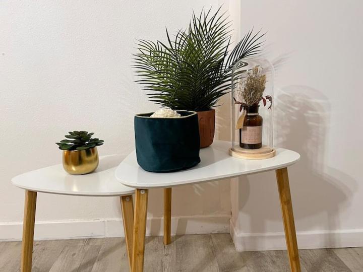 Comme Un Air De Provence A Blois Appartement Buitenkant foto